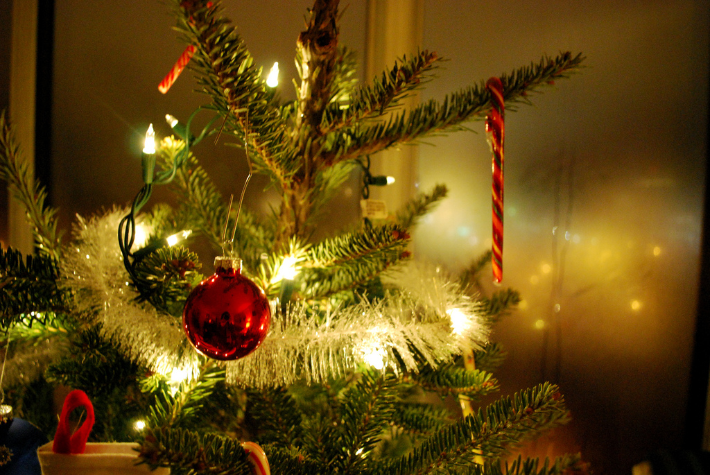 My Home Life | Ten Top Tips for Christmas