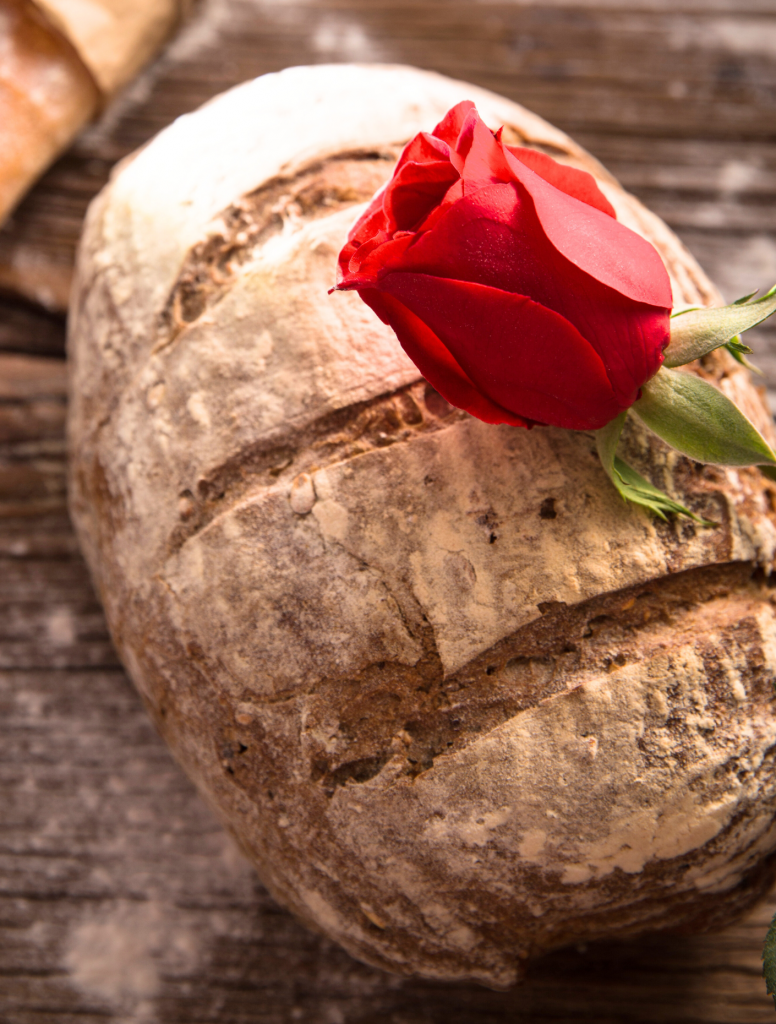 Bread or roses? Reframing the role of social work with care homes (Blog ...